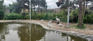 à l'école Notre Dame des Anges de Saint Amand les Eaux 28