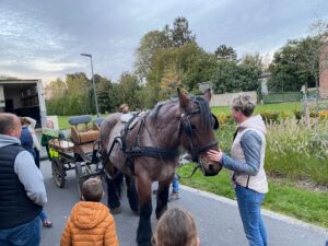 Aller à l'école en calèche ... Projet éco-citoyen à l'école Saint Joseph de Villers-Outréaux 4