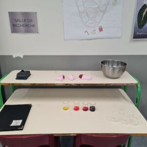 au Lycée Deforest de Lewarde de Douai 8