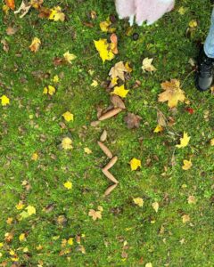 Art dans la nature à l'école Saint Joseph de Cambrai 2