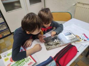 Journée de l'enfance à l'école Immaculée Conception de Rumegies 3