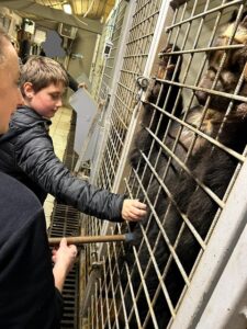 Les ambassadeurs de la biodiversité de l'école Notre Dame de Grâce de Maubeuge ont repris le chemin du zoo ce mardi !!