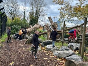 Les ambassadeurs de la biodiversité de l'école Notre Dame de Grâce de Maubeuge ont repris le chemin du zoo ce mardi !! 2