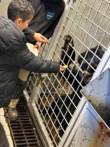 Les ambassadeurs de la biodiversité de l'école Notre Dame de Grâce de Maubeuge ont repris le chemin du zoo ce mardi !! 3