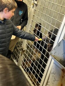 Les ambassadeurs de la biodiversité de l'école Notre Dame de Grâce de Maubeuge ont repris le chemin du zoo ce mardi !! 4