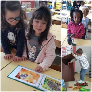 Lundi, les élèves de PS/MS de l'école Notre Dame de Grâce de Maubeuge étaient ravis d'accueillir Gédéon, le hérisson ! 1