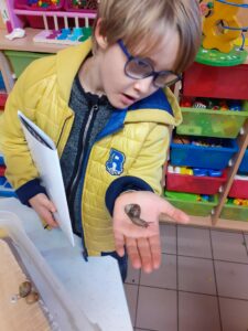 On observe les élevages de chenilles et d'escargots à l'école Saint Vincent de Paul de Douai