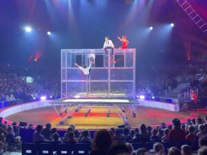 Sortie « la grande fête lilloise du cirque » pour les élèves de l'école Notre Dame de la Renaissance de Somain 2