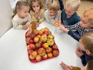 Tout sur la pomme à l'école Notre Dame de la Renaissance de Somain 9