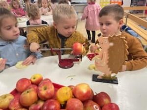 Tout sur la pomme à l'école Notre Dame de la Renaissance de Somain 5