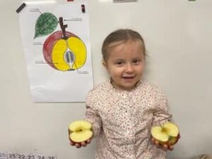 Tout sur la pomme à l'école Notre Dame de la Renaissance de Somain 8