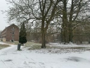 La neige a fait des heureux à l'Institut d'Anchin de Pecquencourt 1