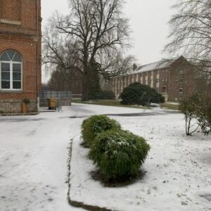 La neige a fait des heureux à l'Institut d'Anchin de Pecquencourt 2