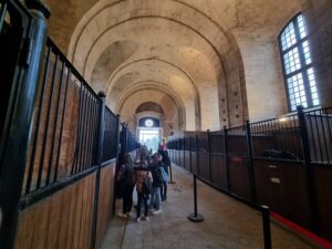 Les élèves de la section équitation de l'Institution Notre Dame de Grâce de Maubeuge ont repris une journée avant les autres ! 10