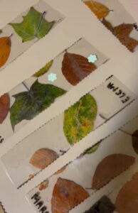 Parrainage entre les plus petits et les plus grands à l'école Saint Joseph de Cambrai. 13