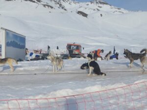 Deux jours que le voyage au ski a débuté pour les lycéens de l'Ensemble Saint Luc de Cambrai 17