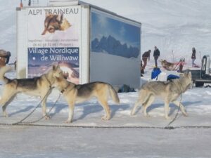 Deux jours que le voyage au ski a débuté pour les lycéens de l'Ensemble Saint Luc de Cambrai 18