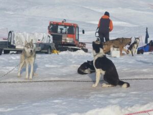 Deux jours que le voyage au ski a débuté pour les lycéens de l'Ensemble Saint Luc de Cambrai 19