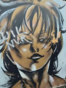 Jeudi 22 février les élèves de TAGORA/OTM et TMCV 1 et 2 du Lycée Hélène Boucher de Somain ont découvert le matin le Street Art dans les rue de Roubaix et ensuite le centre commercial Mc Arthur Glen. 2