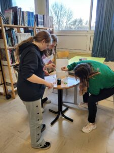 Les élèves de seconde professionnelle du Lycée Hélène Boucher de Somain terminent actuellement leur première PFMP, période de formation en milieu professionnel. 25