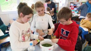 A l'école Sainte Thérèse de Le Quesnoy... 7
