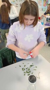 A l'école Sainte Thérèse de Le Quesnoy... 15