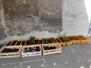 Premier jour du printemps pour les plus jeunes de l'école Saint Martin de Nomain. 15