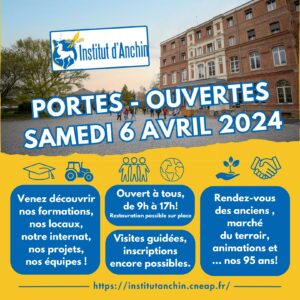 Brouillon auto 206