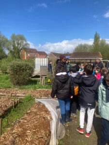 Les Cm1 de l'école Marie-Immaculée de Valenciennes sont devenus apprentis jardiniers grâce au jardin du coeur et Monsieur Alfred. 10