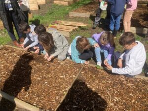 Les Cm1 de l'école Marie-Immaculée de Valenciennes sont devenus apprentis jardiniers grâce au jardin du coeur et Monsieur Alfred. 3