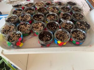 Journée plantation pour les élèves de la classe de TPS/PS de l'école Notre Dame de la Renaissance de Somain 2