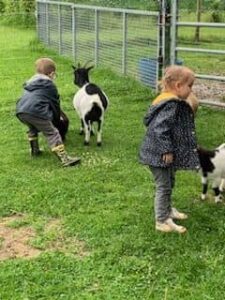 Sortie à la ferme des enfants de TPS-PS-MS de l'école Saint Vincent de Paul de Douai 1