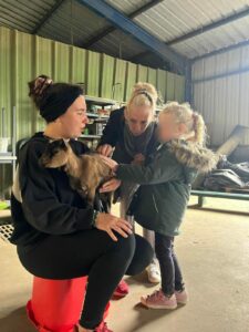 Sortie à la ferme des enfants de TPS-PS-MS de l'école Saint Vincent de Paul de Douai 3