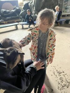 Sortie à la ferme des enfants de TPS-PS-MS de l'école Saint Vincent de Paul de Douai 4