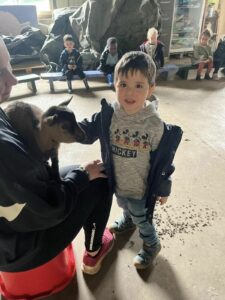 Sortie à la ferme des enfants de TPS-PS-MS de l'école Saint Vincent de Paul de Douai 5