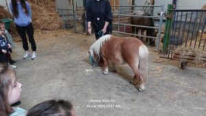 Sortie à la ferme des enfants de TPS-PS-MS de l'école Saint Vincent de Paul de Douai 7