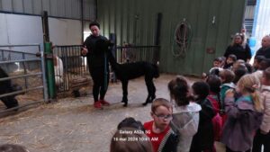 Sortie à la ferme des enfants de TPS-PS-MS de l'école Saint Vincent de Paul de Douai 8
