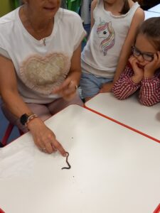 A l'école Sainte Famille de Raismes 10