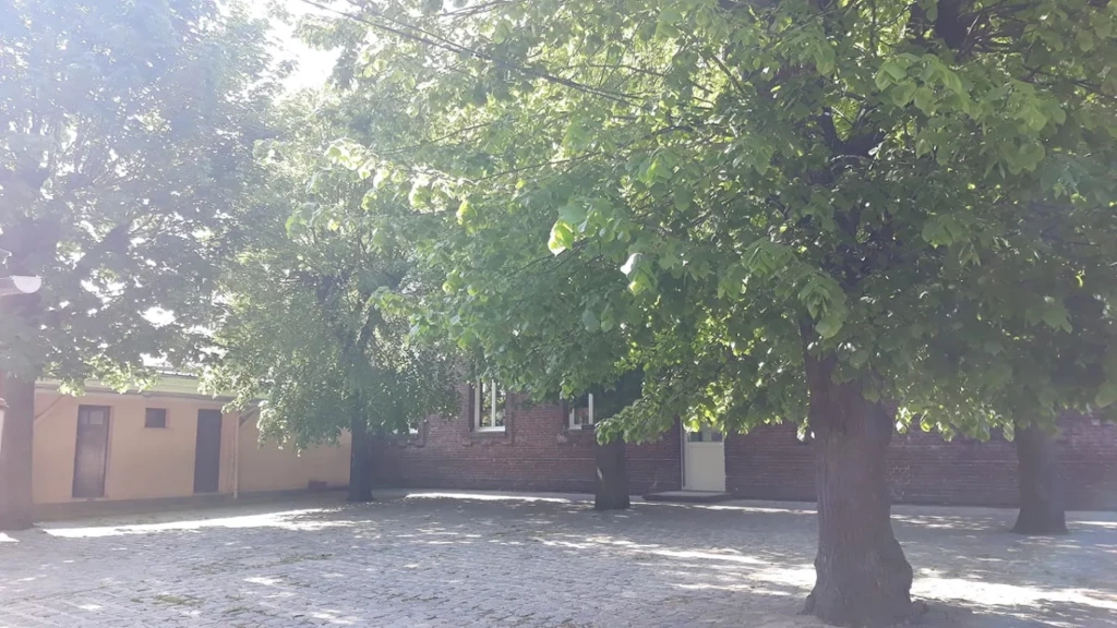 Ecole Saint Vincent de Paul